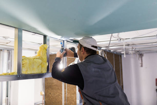 Best Energy Efficiency Insulation in Lyman, MS
