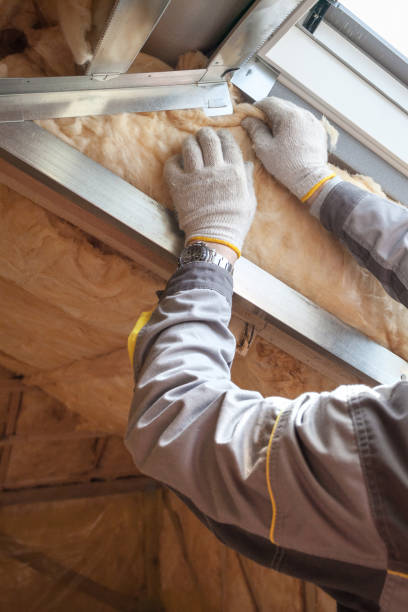 Best Geographic-Specific Insulation Services in Lyman, MS